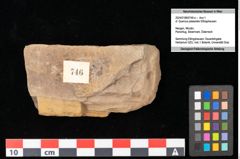 Foto (Objekt + Etikett) von Quercus cf. palaeoilex Ettingshausen (NHMW-GEO-2024-0188-0746a)